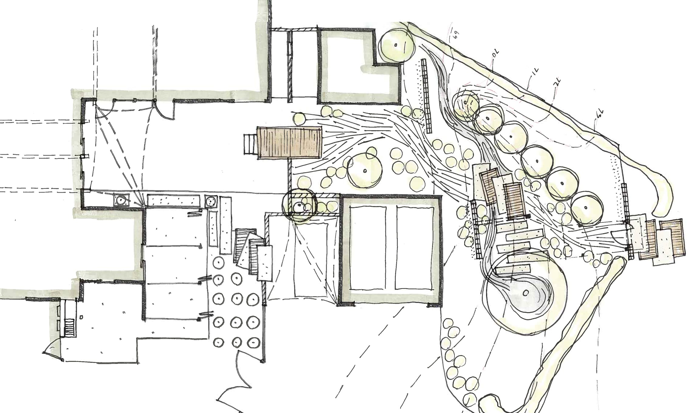 Hand drawn drought tolerant landscape design and development